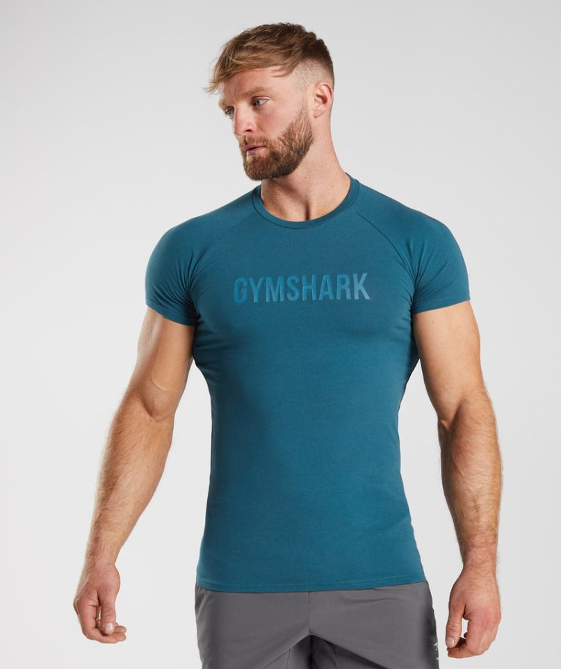 Men\'s Gymshark Apollo T-Shirts Blue | CA 1N573A